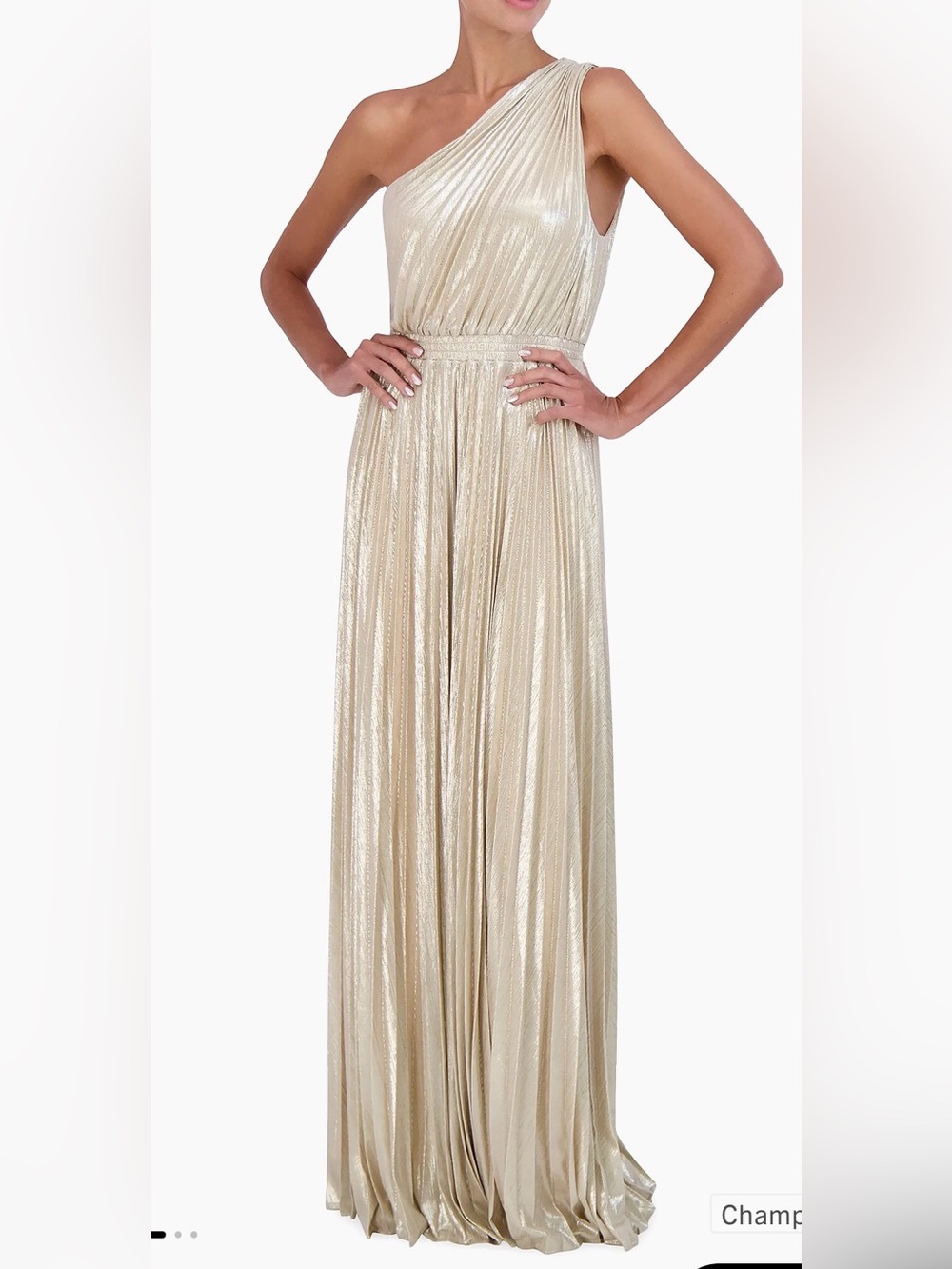 BCBG maxazria Metallic Gold Pleated Maxi Dress